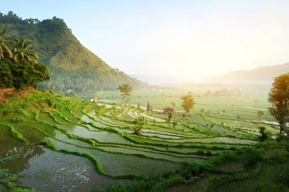 Laba Bali Tour